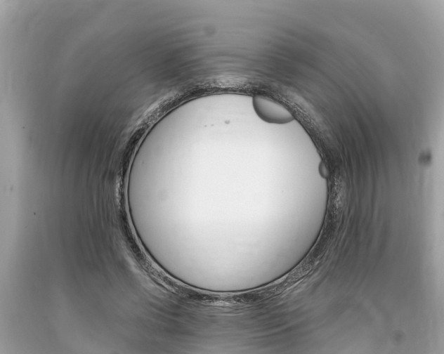 X0000094180542200710260934