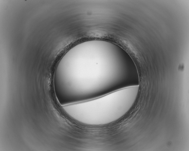 X0000094180544200710260934