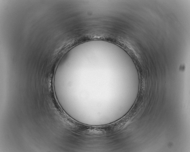 X0000094180545200710260934