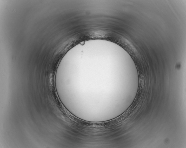 X0000094180549200710260934