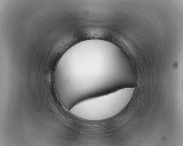X0000094180551200710260934