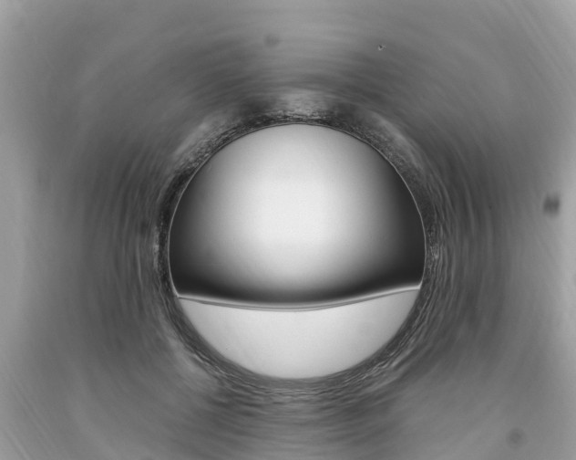 X0000094180552200710260934