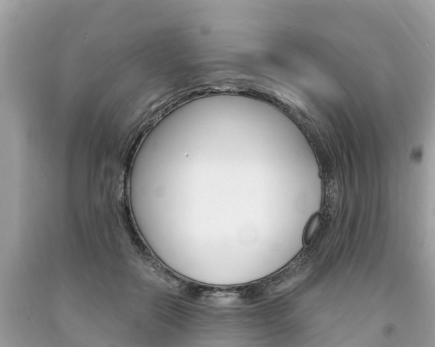 X0000094180554200710260934