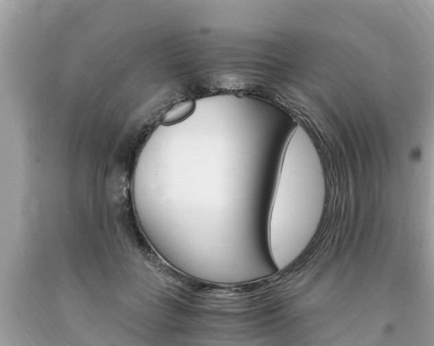 X0000094180555200710260934