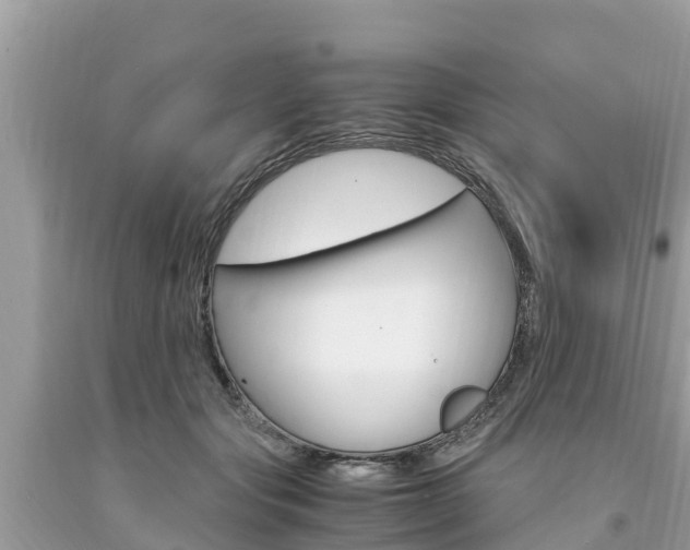 X0000094180557200710260934