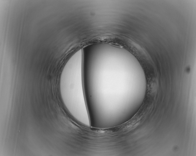 X0000094180558200710260934