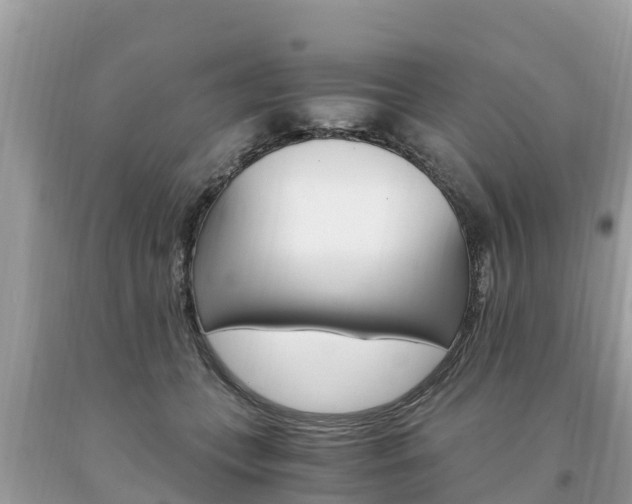 X0000094180559200710260934