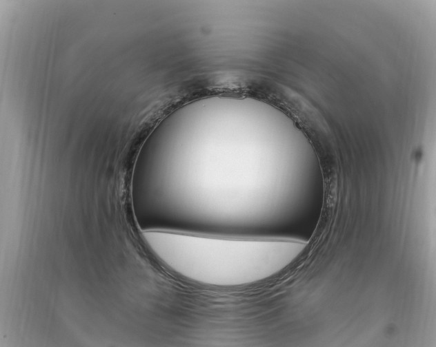 X0000094180560200710260934