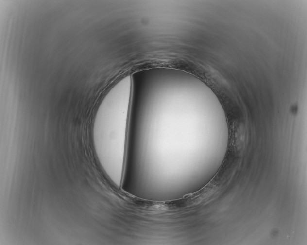 X0000094180562200710260934