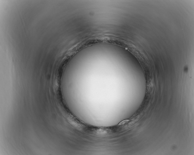 X0000094180566200710260934
