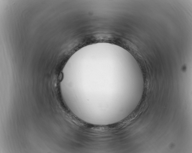 X0000094180567200710260934