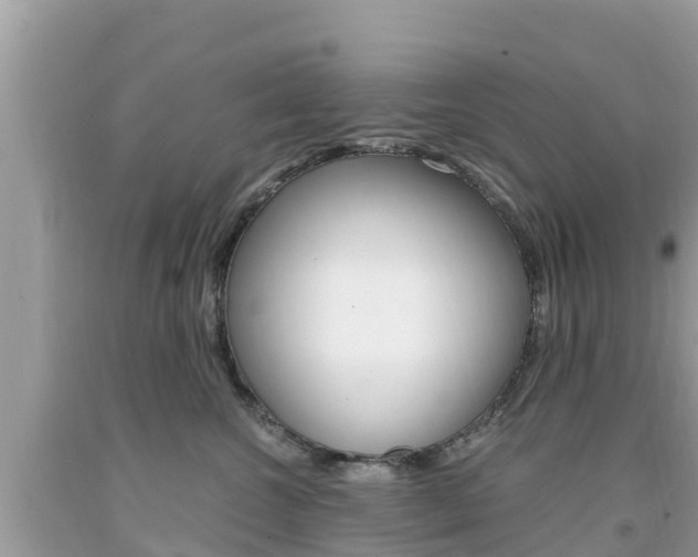 X0000094180572200710260934