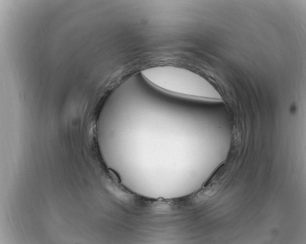 X0000094180574200710260934
