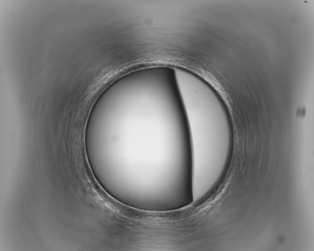 X0000094180577200710260934