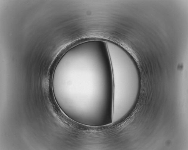 X0000094180580200710260934