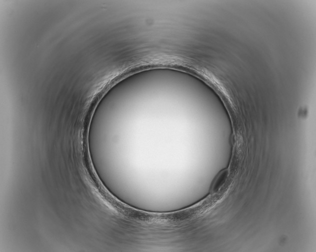 X0000094180581200710260934