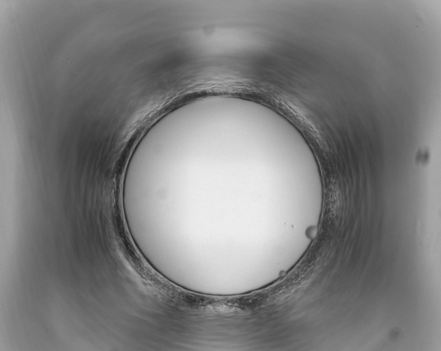 X0000094180586200710260934