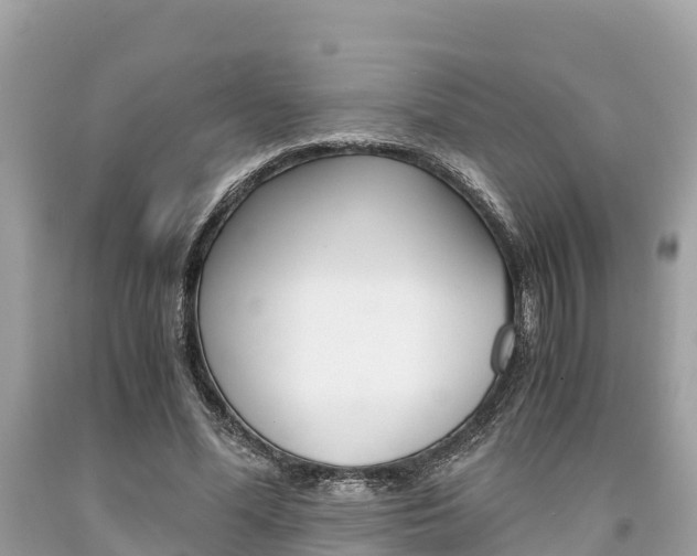 X0000094180588200710260934