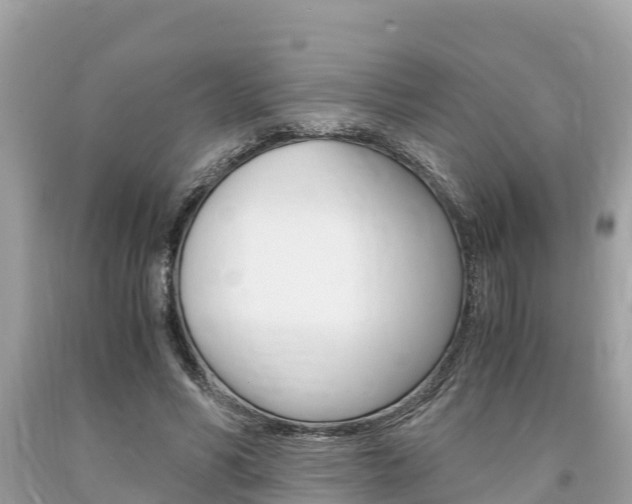 X0000094180590200710260934