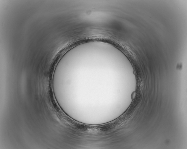 X0000094180591200710260933