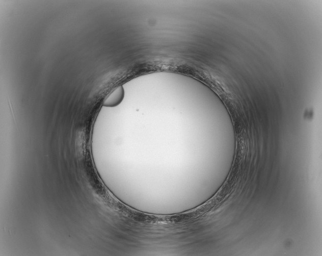 X0000094180594200710260933