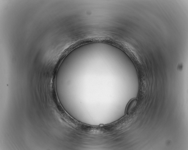 X0000094180596200710260933