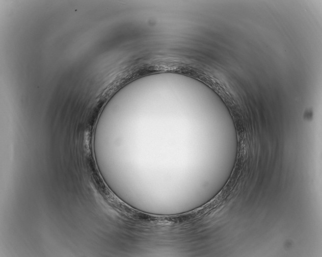 X0000094180598200710260933