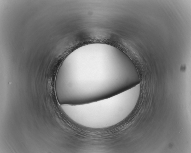 X0000094180599200710260933