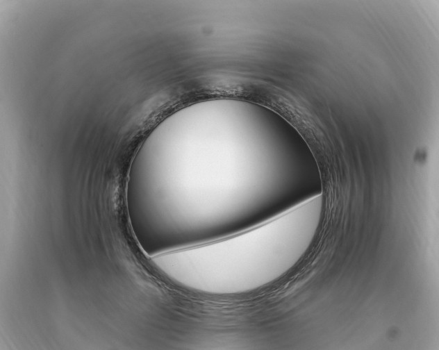 X0000094180600200710260933