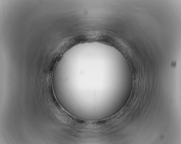 X0000094180601200710260933