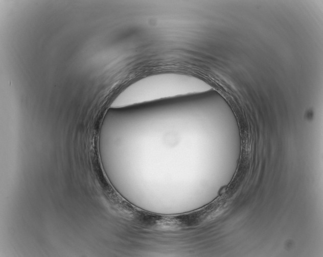 X0000094180603200710260933