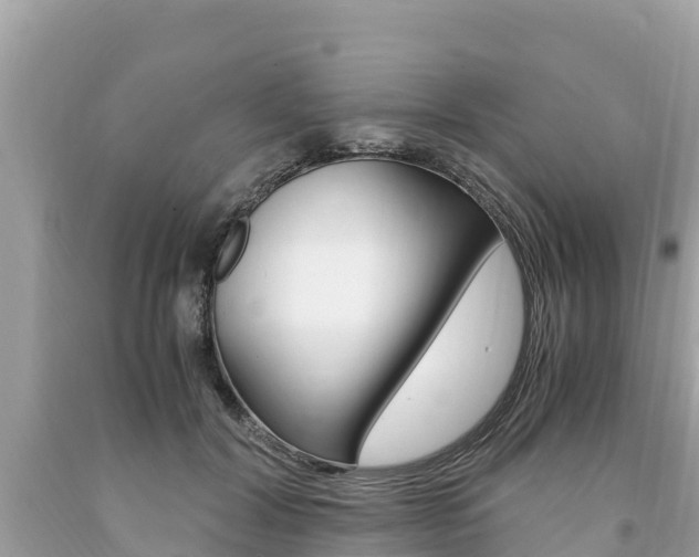 X0000094180604200710260933