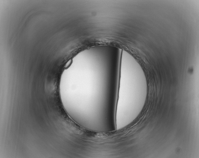 X0000094180608200710260933