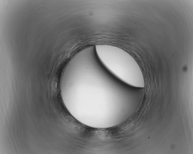 X0000094180615200710260933