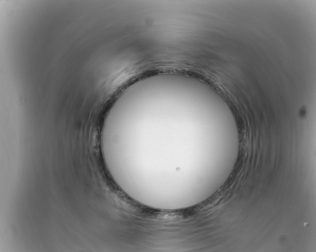 X0000094180619200710260933
