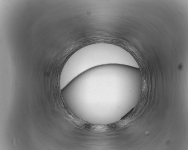 X0000094180621200710260933