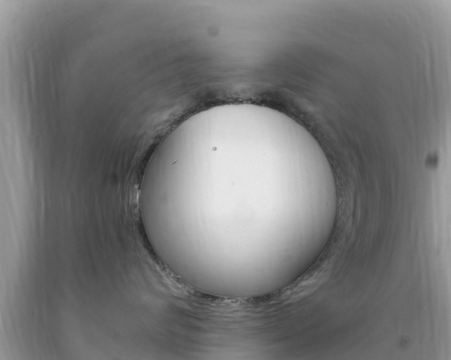X0000094180624200710260933