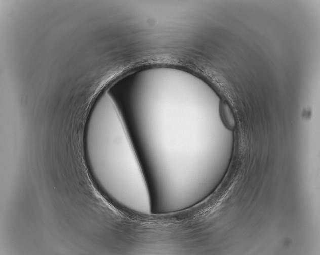 X0000094180625200710260932