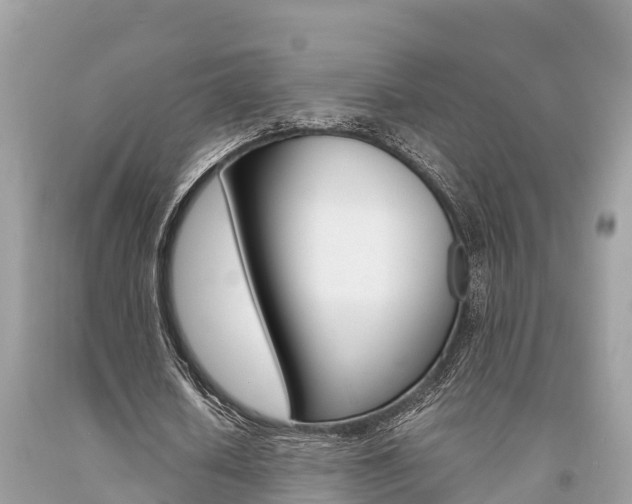 X0000094180626200710260932