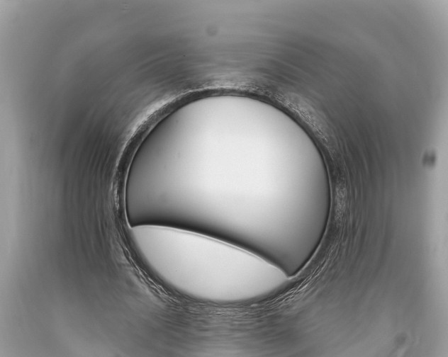 X0000094180628200710260932