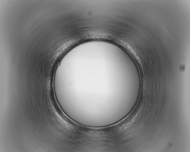 X0000094180629200710260932