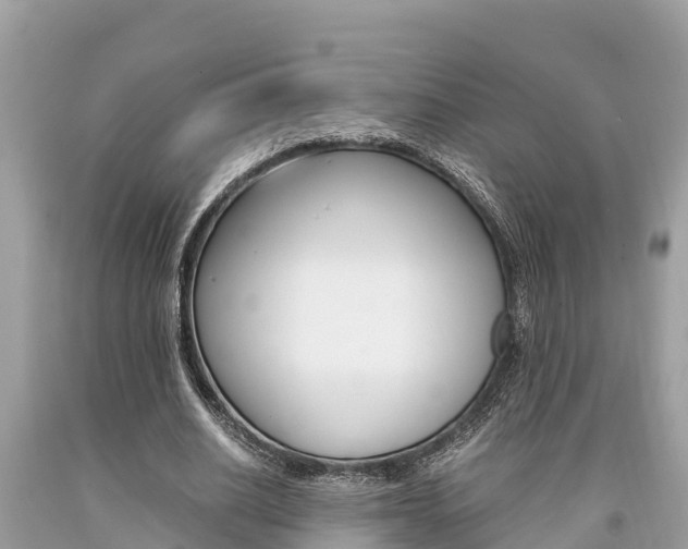 X0000094180630200710260932
