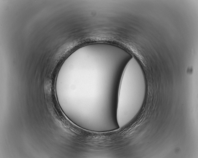 X0000094180631200710260932