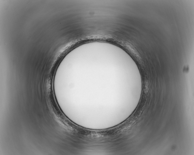X0000094180632200710260932