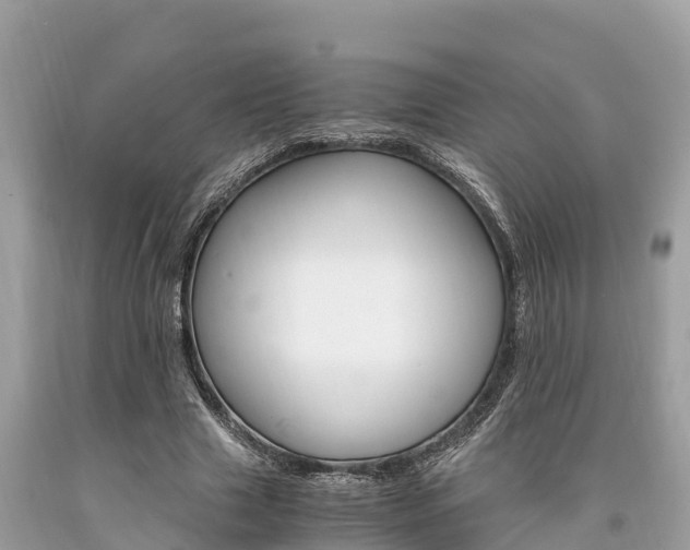 X0000094180633200710260932