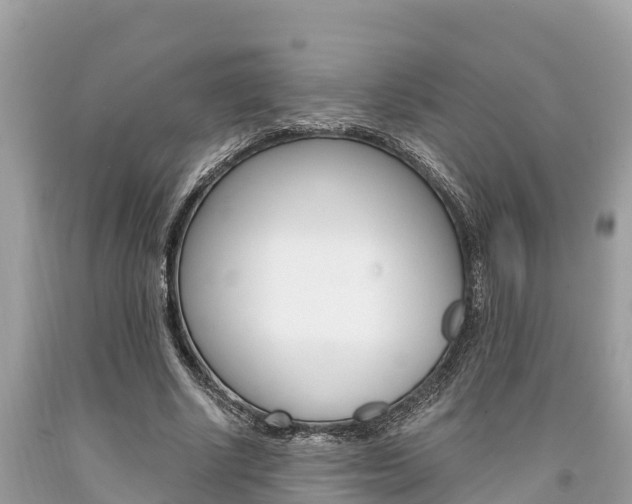 X0000094180634200710260932