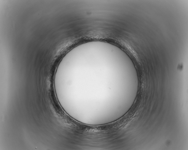 X0000094180635200710260932