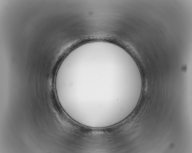 X0000094180636200710260933