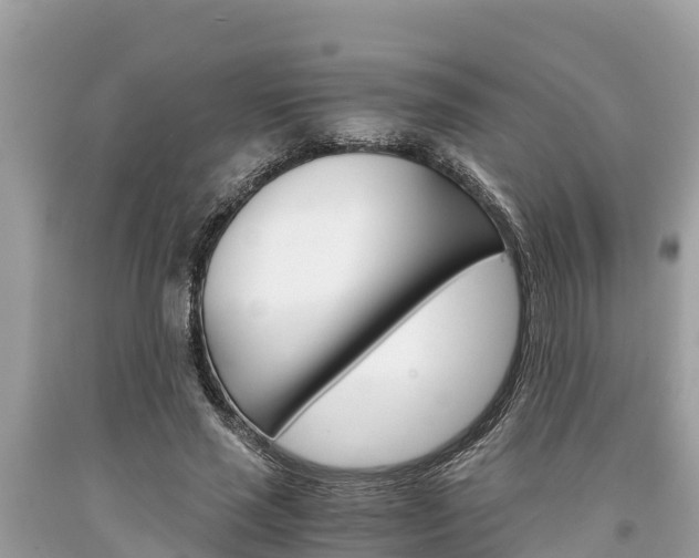 X0000094180637200710260933