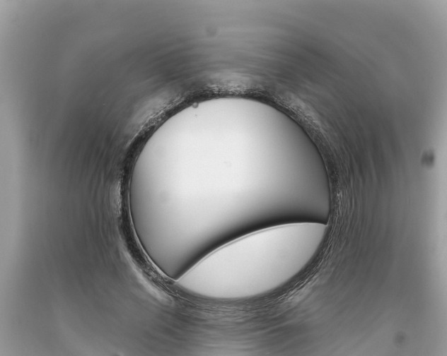 X0000094180638200710260933